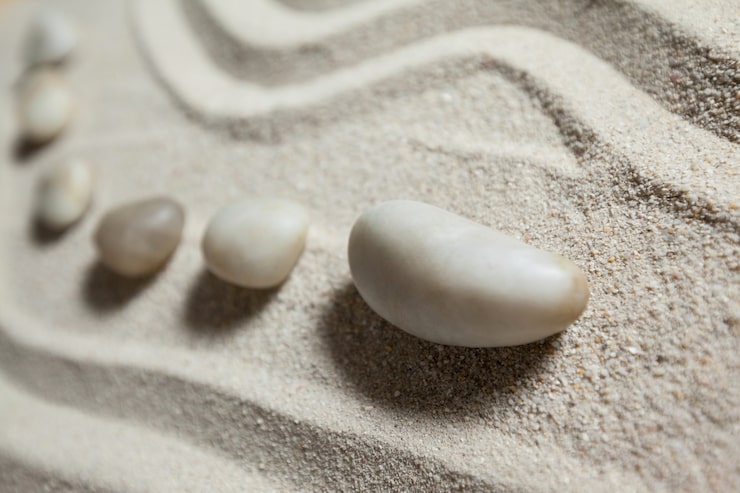 Finding Wonder in Everyday Moments: Mindfulness and Meditation